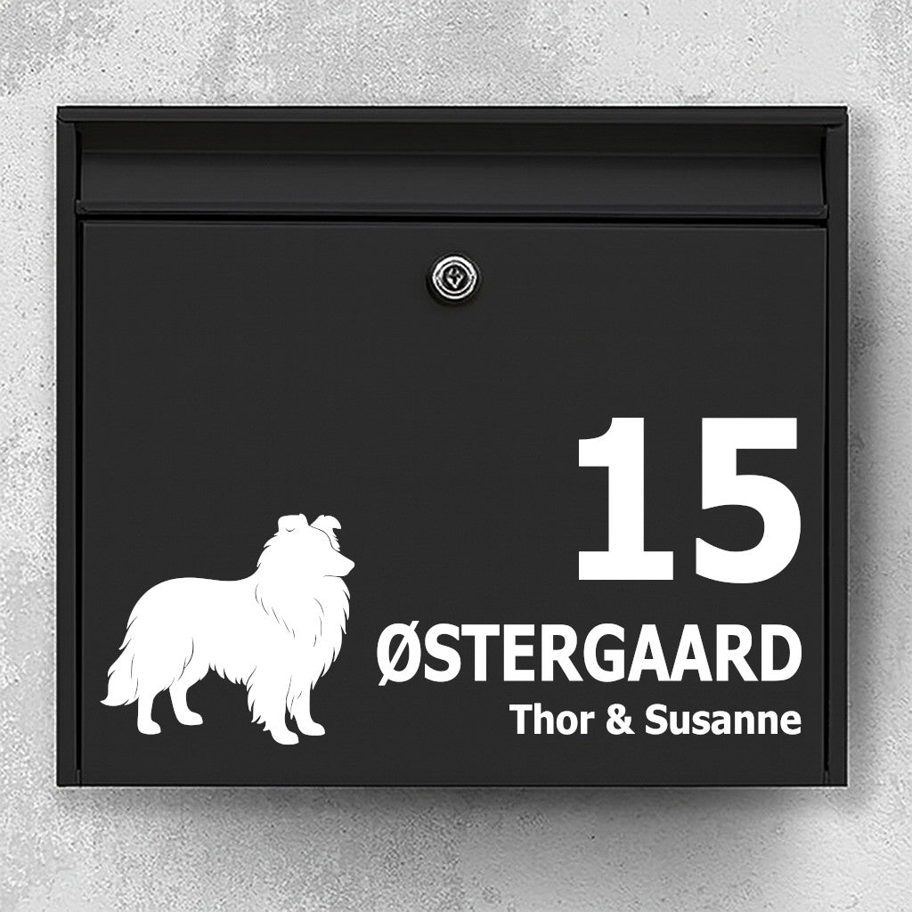 Postkassesticker med shetland sheepdog