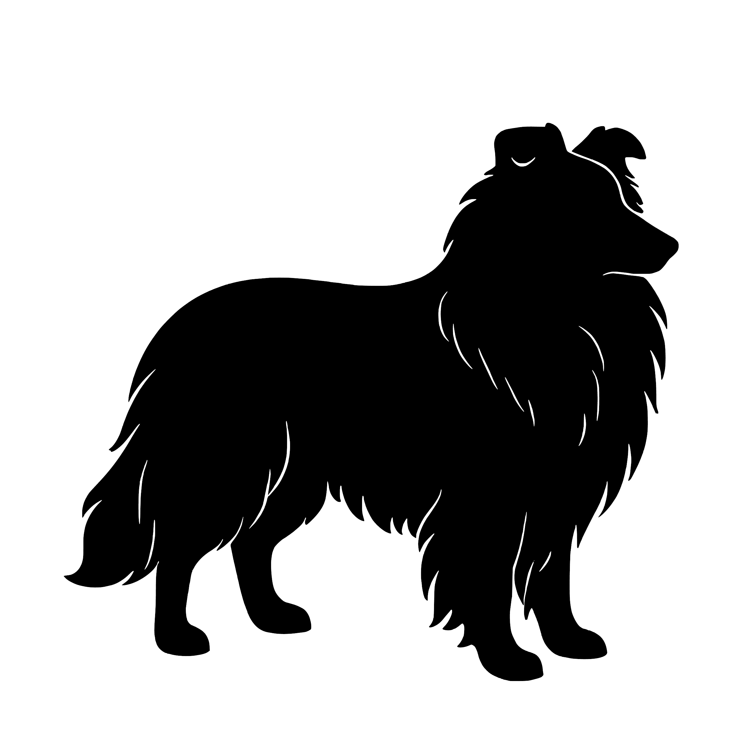 Shetland sheepdog – Enkeltmotiv Sticker