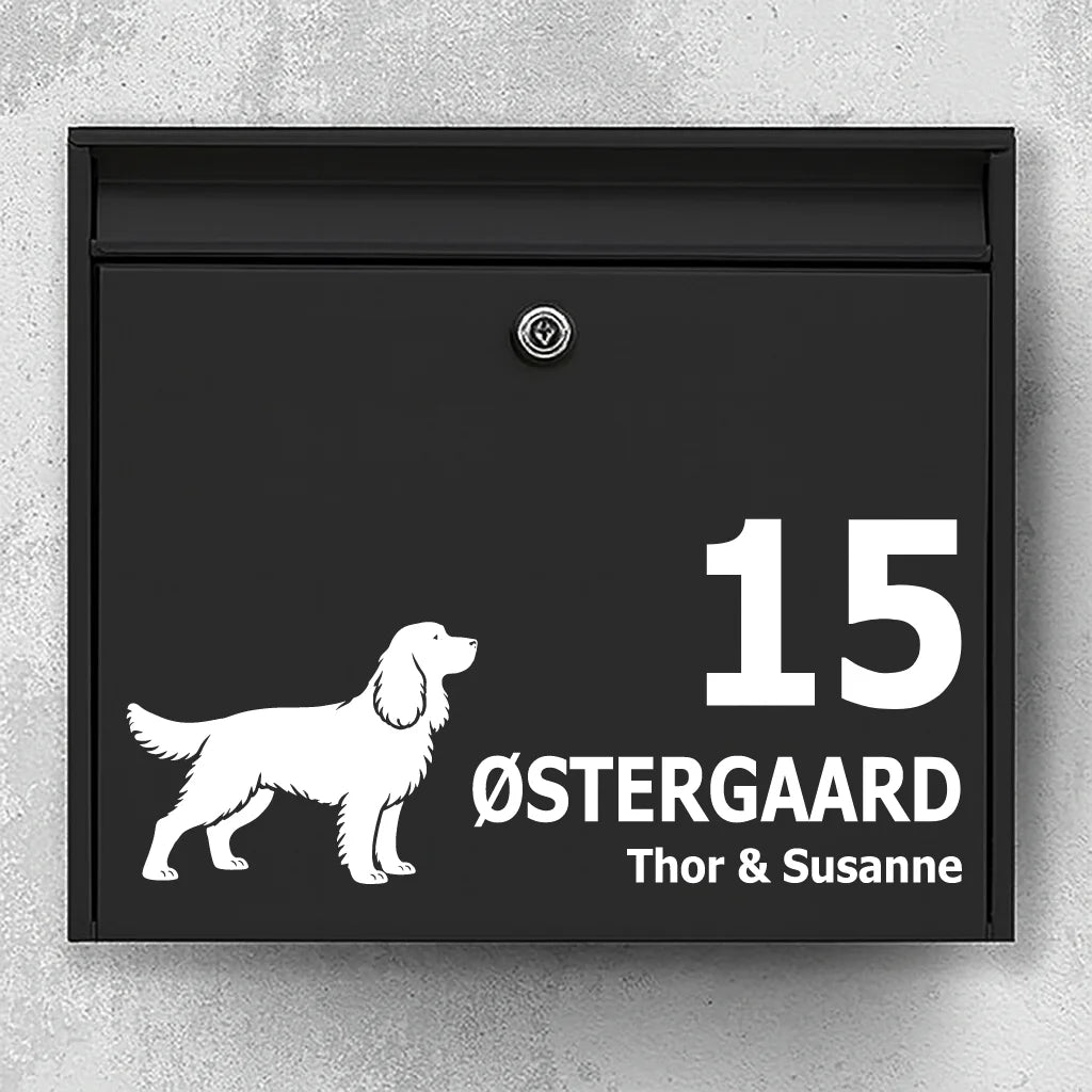 Postkassesticker med Springer spaniel – Postkassestickers.nu