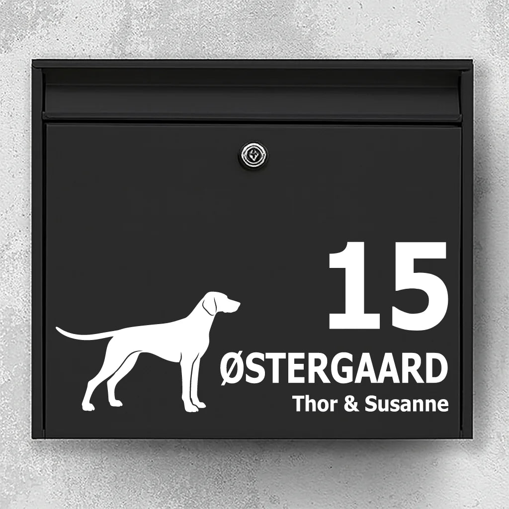 Postkassesticker med Tysk korthåret hønsehund