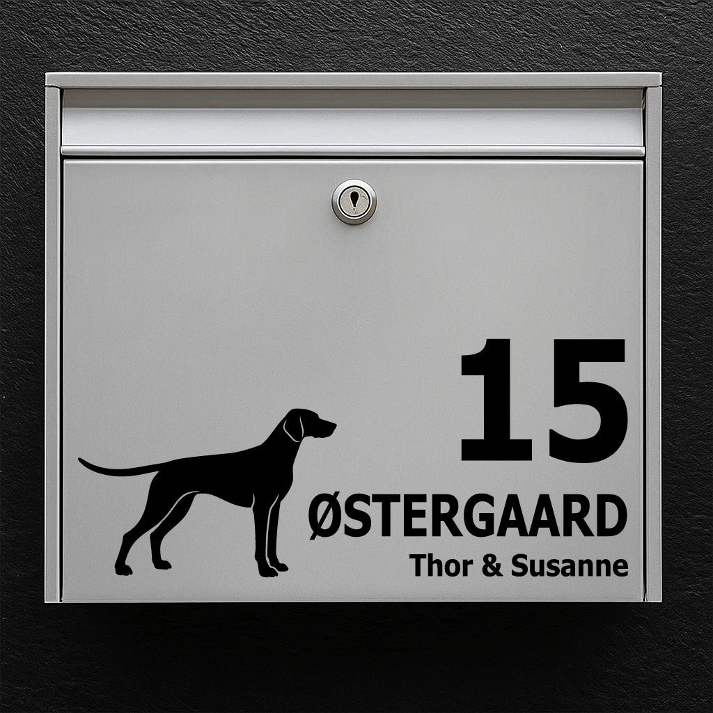 Postkassesticker med Tysk korthåret hønsehund