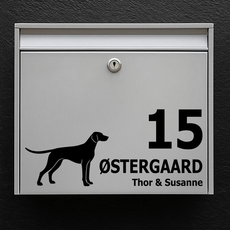 Postkassesticker med Tysk korthåret hønsehund